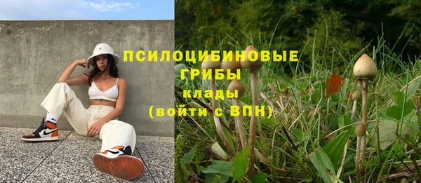 гашиш Богородск