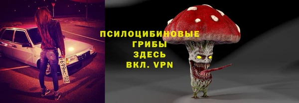 мдпв Верея