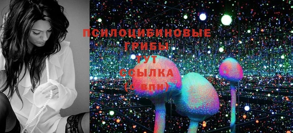 ECSTASY Богородицк