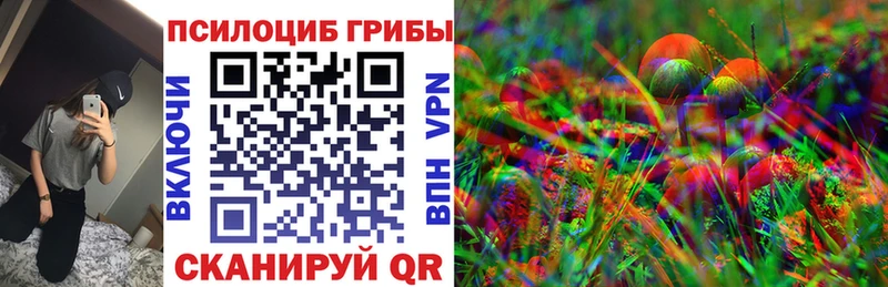 Псилоцибиновые грибы Psilocybe  Ишимбай 